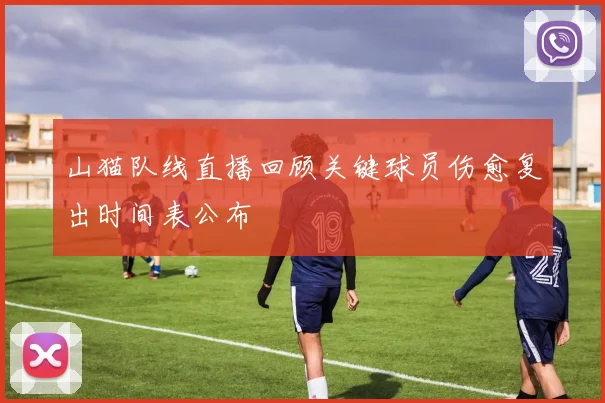 山猫队线直播回顾关键球员伤愈复出时间表公布