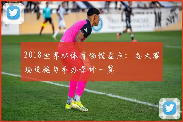 2018世界杯体育场馆盘点:各大赛场设施与举办条件一览