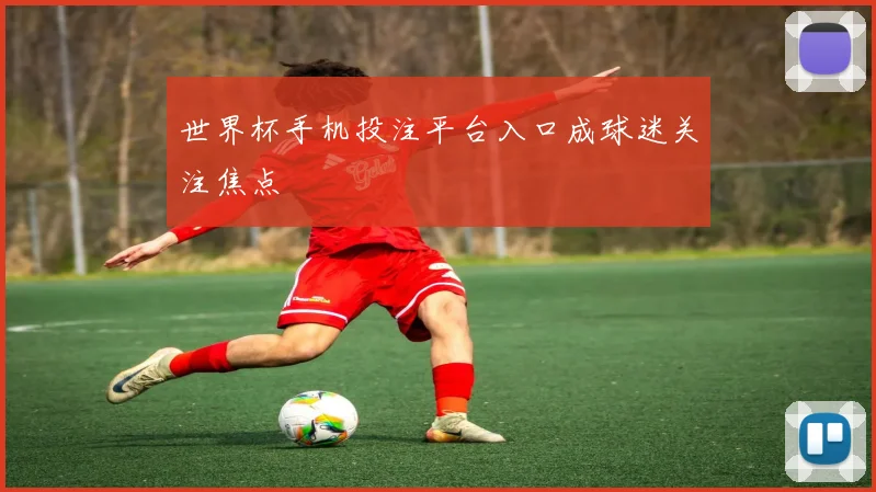世界杯手机投注平台入口成球迷关注焦点
