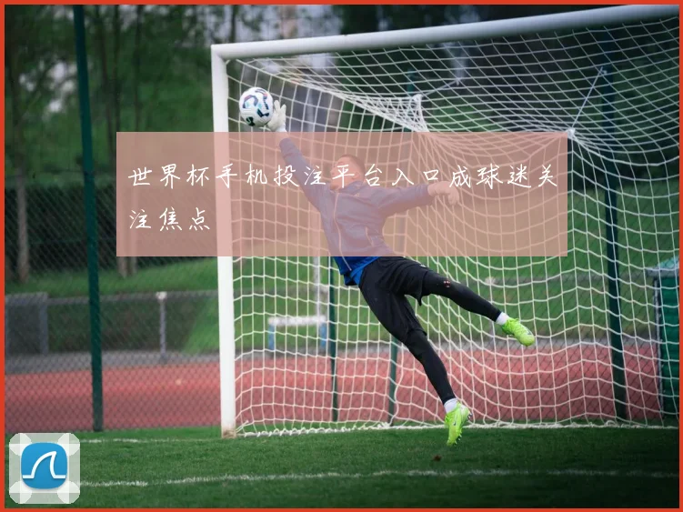世界杯手机投注平台入口成球迷关注焦点