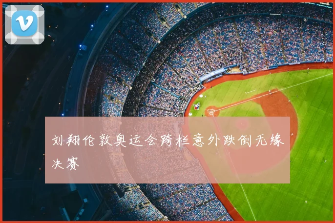 刘翔伦敦奥运会跨栏意外跌倒无缘决赛