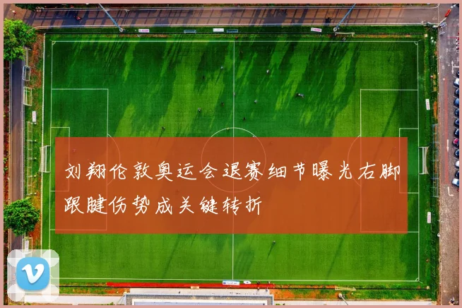 刘翔伦敦奥运会退赛细节曝光右脚跟腱伤势成关键转折