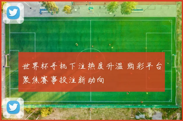 世界杯手机下注热度升温 购彩平台聚焦赛事投注新动向
